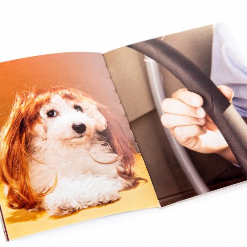 Images You Should Not Masturbate To Book