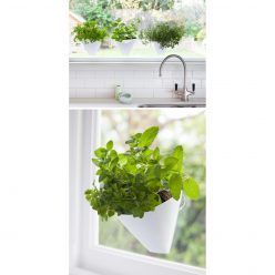 Indoor Suctioned Window-Wall Planter