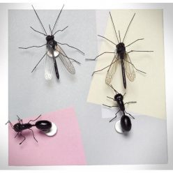Insect Pushpins