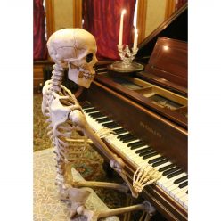Posable Life Size Skeleton