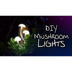 Mushroom Lights