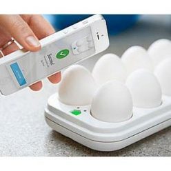 Egg Replacement Smart Tray