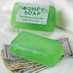 Money Filled Soap Bar