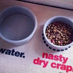 Nasty Dog Food Place Mat