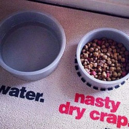 Nasty Dog Food Place Mat