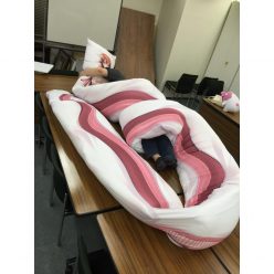 Monster Musume Body Pillow Cover