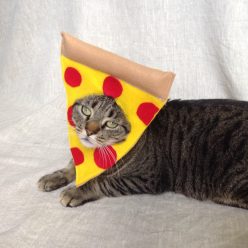 Pepperoni Pizza Costume Cat
