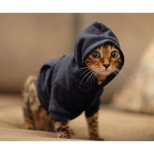 Pet Hoodies