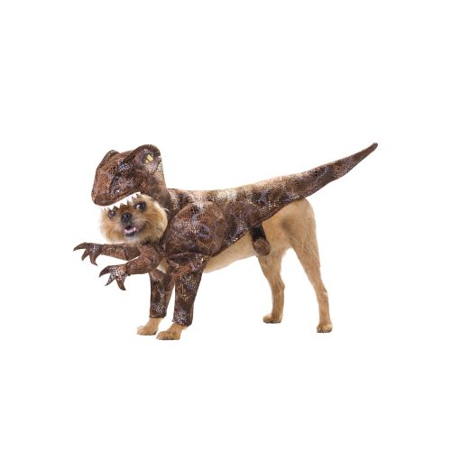 Raptor Dog Costume