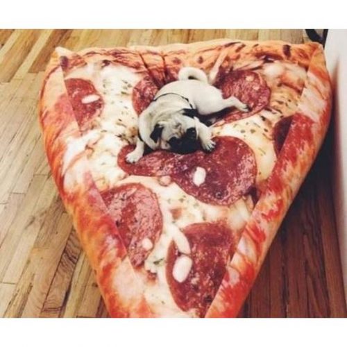 Pizza Slice Beanbag Chair
