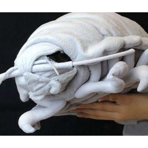Realistic Isopod Plushie