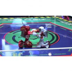 Remote Control Combat Robots