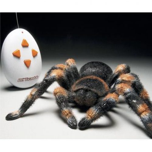Remote Control Tarantula Spider