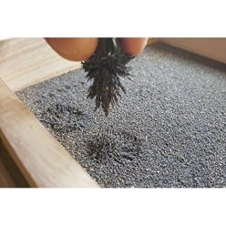 Magnetized Zen Garden