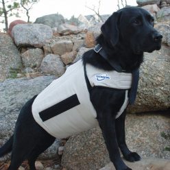 Dog Cooling Vest