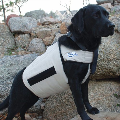 Dog Cooling Vest