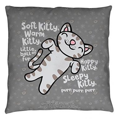 Big Bang Theory Pillow