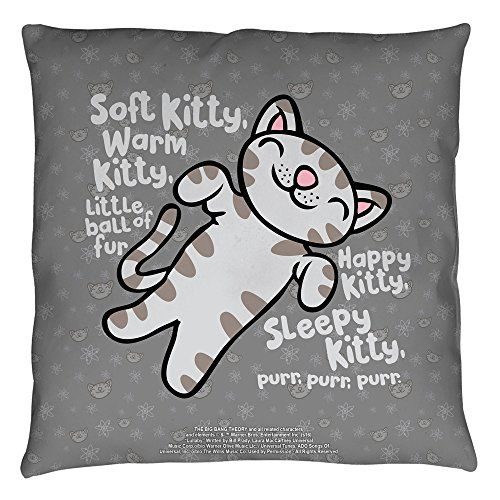 Big Bang Theory Pillow