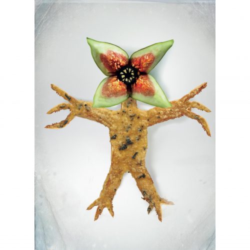 Stranger Things Parody Cookbook