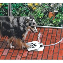 Doggie Pedal Water Fountain