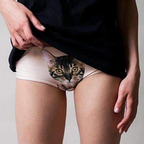 Cat Panties – Pussy Cat Tumblr Panties