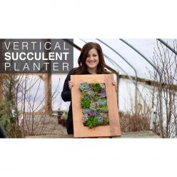 Vertical Succulent Planter