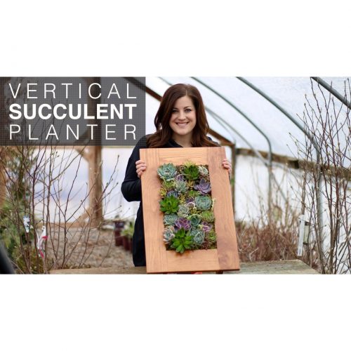 Vertical Succulent Planter