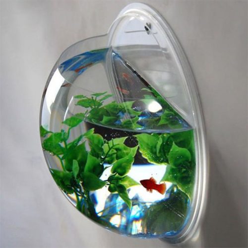 Wall Mounted Fish Bowl