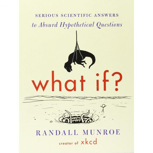 What If Book