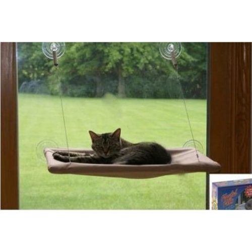 Window Hammock Cats