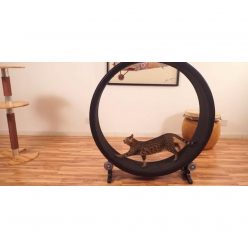 Cat Hamster Wheel